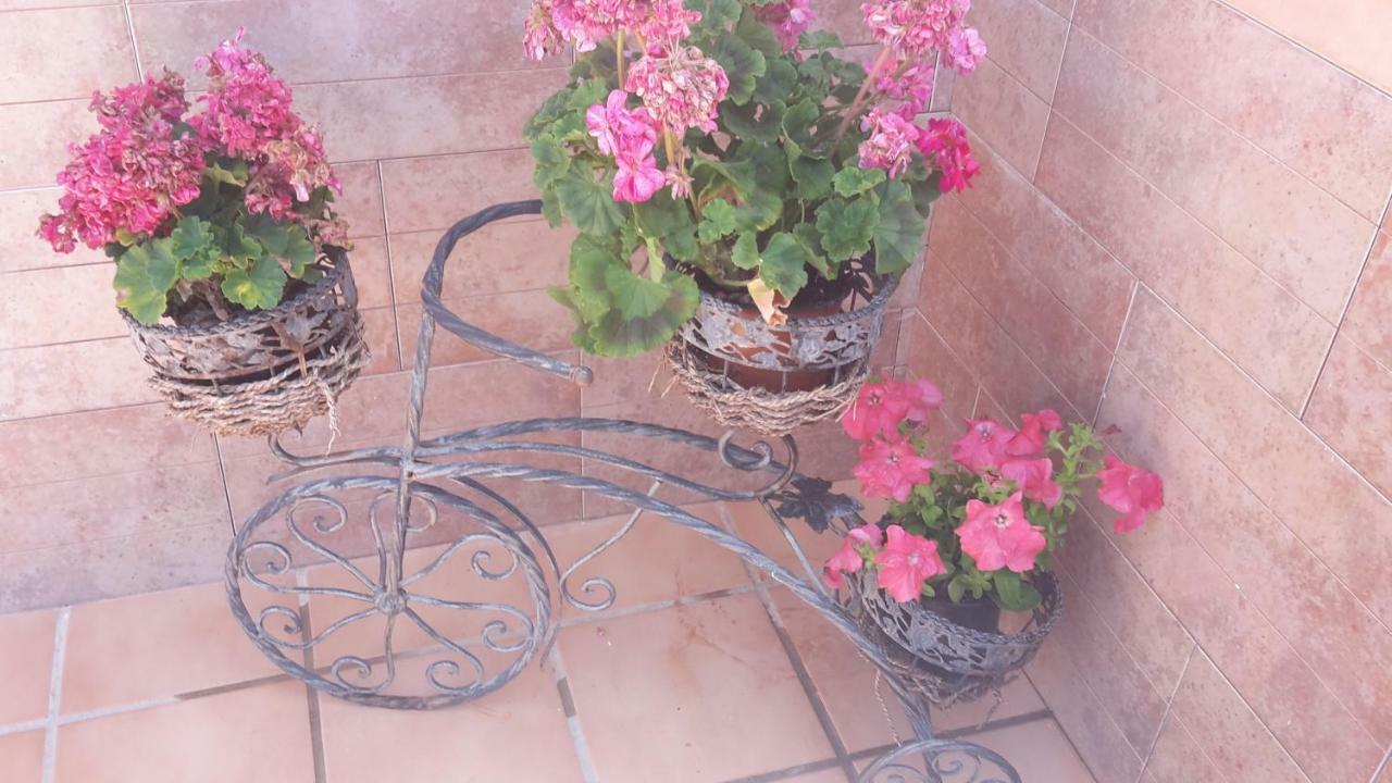 Bravo 24 Apartman Fuengirola Kültér fotó